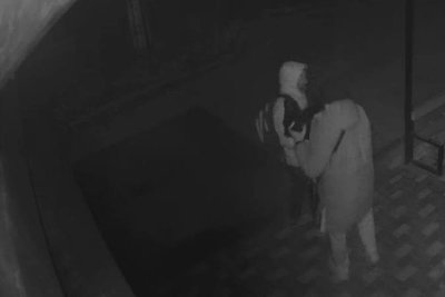 Двом вінничанам, які викрали "собаку", загрожує в'язниця Двом вінничанам, які викрали "собаку", загрожує в'язниця