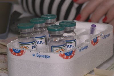 У Харкові планують вакцинувати від сказу 3500 тварин
