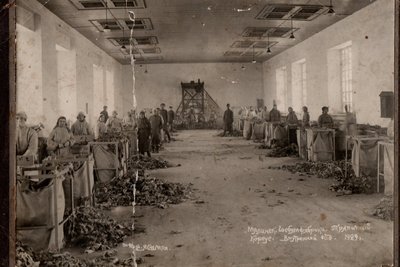 Промисловість на Житомирщині: як осока з Полісся стала сировиною для малинського паперу Промисловість на Житомирщині: як осока з Полісся стала сировиною для малинського паперу