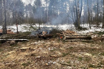 Палили в лісі зрубане гілляччя: на Житомирщині оштрафували чотирьох місцевих жителів Палили в лісі зрубане гілляччя: на Житомирщині оштрафували чотирьох місцевих жителів