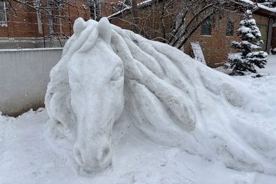 На Вінниччині військовий створив зі снігу скульптуру коня