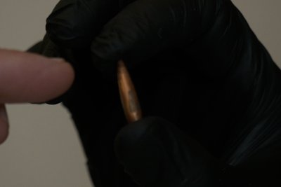 Вбивство дитини на Житомирщині: в суді допитали свідка та судмедексперта Вбивство дитини на Житомирщині: в суді допитали свідка та судмедексперта