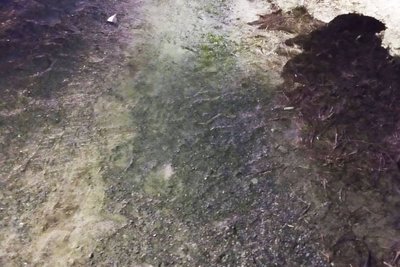 На Житомирщині поліція затримала 18-річного водія за підозрою у скоєнні смертельної ДТП На Житомирщині поліція затримала 18-річного водія за підозрою у скоєнні смертельної ДТП