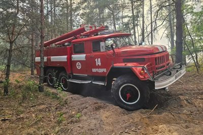 На Житомирщині ліквідовують лісову пожежу на площі 5 гектарів На Житомирщині ліквідовують лісову пожежу на площі 5 гектарів