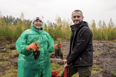 На місці знищеної військами РФ зеленої зони на Житомирщині посадили "Олімпійський ліс" На місці знищеної військами РФ зеленої зони на Житомирщині посадили "Олімпійський ліс"