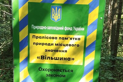 пралісова пам'ятка природи, "Вільшина" пралісова пам'ятка природи, "Вільшина"