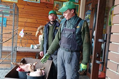 "Люблю свою Мариську": переселенець годує хижаків у Луцькому зоопарку "Люблю свою Мариську": переселенець годує хижаків у Луцькому зоопарку