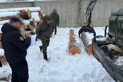 Збитки — щонайменше 10 млн грн: на Волині зафіксували масштабне розкрадання лісу Збитки — щонайменше 10 млн грн: на Волині зафіксували масштабне розкрадання лісу