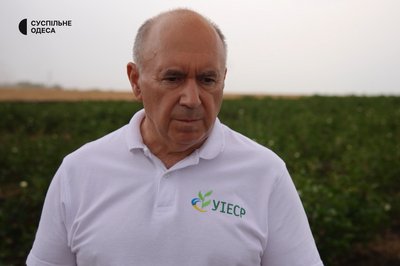 Експеримент вдався: в Одеському регіоні вирощуватимуть бавовну в промислових обсягах