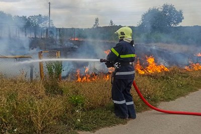 Горіли вулики, дрова та господарчі будівлі: на Вінниччині за добу сталися 35 пожеж Горіли вулики, дрова та господарчі будівлі: на Вінниччині за добу сталися 35 пожеж
