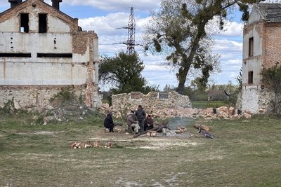 Загибель корів: на держпідприємстві "Рихальське" у Житомирській області проводили слідчі дії Загибель корів: на держпідприємстві "Рихальське" у Житомирській області проводили слідчі дії