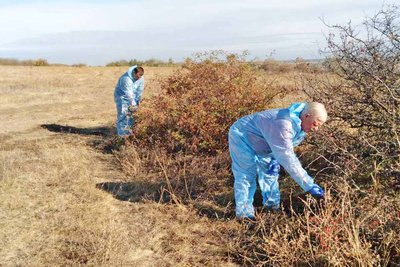 Вакцинація диких тварин: на Одещині розклали понад 200 тисяч приманок від сказу Вакцинація диких тварин: на Одещині розклали понад 200 тисяч приманок від сказу