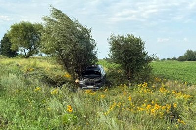 В ДТП на трасі Київ — Чоп на Житомирщині постраждали п'ятеро дітей, двоє з них в реанімації В ДТП на трасі Київ — Чоп на Житомирщині постраждали п'ятеро дітей, двоє з них в реанімації