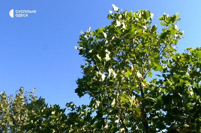 Історія життя загиблого військового з Одещини Історія життя загиблого військового з Одещини