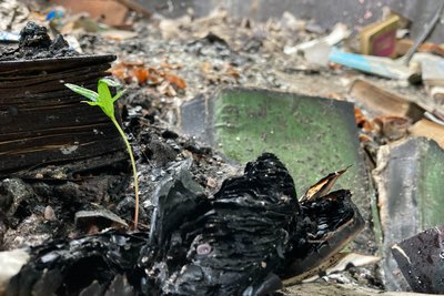 "У вогні згоріла уся техніка, меблі та п'ятдесят тисяч книг": РФ двома ударами знищила бібліотеку у Барвінковому "У вогні згоріла уся техніка, меблі та п'ятдесят тисяч книг": РФ двома ударами знищила бібліотеку у Барвінковому