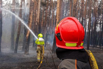Поблизу Борщівки Ізюмського району горить ліс, пожежу гасять рятувальники Поблизу Борщівки Ізюмського району горить ліс, пожежу гасять рятувальники
