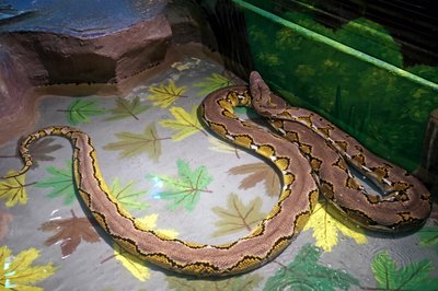 У Києві