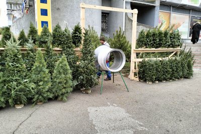 У Луцьку запрацювали ялинкові ярмарки: скільки коштують хвойні дерева до свят У Луцьку запрацювали ялинкові ярмарки: скільки коштують хвойні дерева до свят