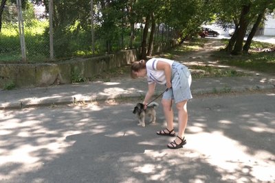 Залишайте на дворі воду: як допомогти тваринам пережити спеку