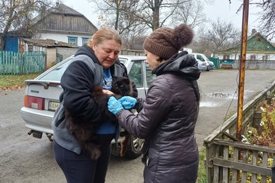 У Малинській громаді безоплатно вакцинують домашніх і безпритульних тварин від сказу У Малинській громаді безоплатно вакцинують домашніх і безпритульних тварин від сказу