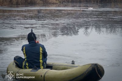 На Харківщині ДСНС врятували лебедя з рибальської сітки На Харківщині ДСНС врятували лебедя з рибальської сітки