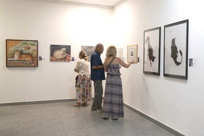 Виставка картин котів у Луцьку Виставка картин котів у Луцьку