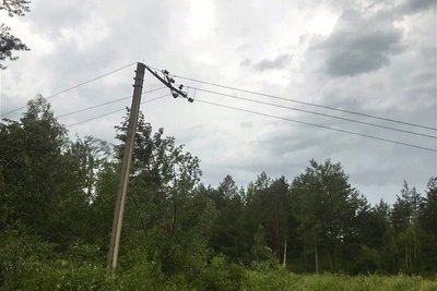 "Товсті дерева ломило навпіл": у нацпарку на Рівненщині показали наслідки негоди "Товсті дерева ломило навпіл": у нацпарку на Рівненщині показали наслідки негоди