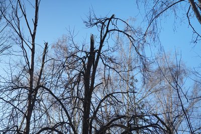 Російські солдати вдарили безпілотником по Сумах Російські солдати вдарили безпілотником по Сумах