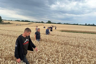 Зникла у полі: у Бердичівському районі знайшли 3-річну дитину Зникла у полі: у Бердичівському районі знайшли 3-річну дитину