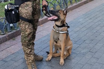 "Об'єднує людей": в Одесі відбувся святковий концерт До Дня Незалежності "Об'єднує людей": в Одесі відбувся святковий концерт До Дня Незалежності