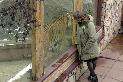 Тепла вода черепахам, мавпам – ковдри: в Луцькому зоопарку чекають на генератори Тепла вода черепахам, мавпам – ковдри: в Луцькому зоопарку чекають на генератори