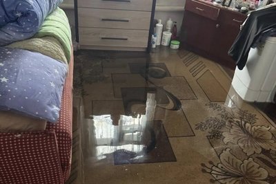 Чотири десятки повалених дерев і підтоплені будинки: наслідки негоди на Житомирщині Чотири десятки повалених дерев і підтоплені будинки: наслідки негоди на Житомирщині