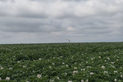 Переїхали з Херсонщини та відродили зрошення полів: як на Житомирщині вирощують картоплю Переїхали з Херсонщини та відродили зрошення полів: як на Житомирщині вирощують картоплю