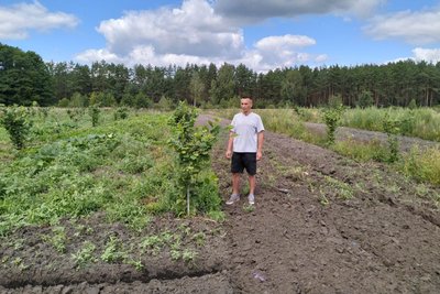 "Війна перекреслила всі плани": ветеран з Волині Сергій Балай вирощує кукурудзу, фундук та обліпиху "Війна перекреслила всі плани": ветеран з Волині Сергій Балай вирощує кукурудзу, фундук та обліпиху