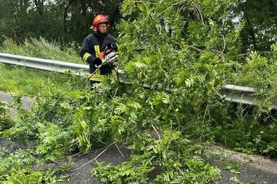 Негода у Житомирській області: рятувальники ліквідовують наслідки