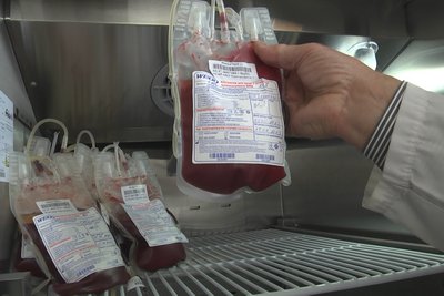 За тиждень у Володимирі на Волині більше сотні людей здали кров для військових За тиждень у Володимирі на Волині більше сотні людей здали кров для військових