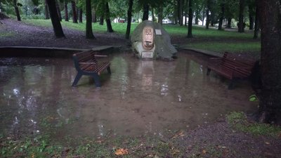 Гроза в Івано-Франківську: підтоплені вулиці та повалені дерева Гроза в Івано-Франківську: підтоплені вулиці та повалені дерева