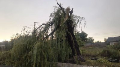 Пошкоджені дахи, повалені дерева, знеструмлені громади: наслідки грози на Кіровоградщині