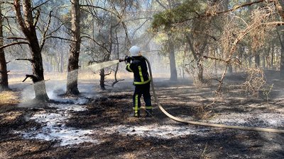 На Миколаївщині горів Балабанівський ліс На Миколаївщині горів Балабанівський ліс