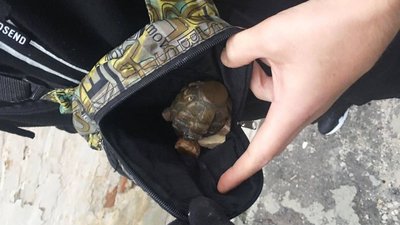 У прикордонні затримали жителя Чернігова, який перевозив вибухівку У прикордонні затримали жителя Чернігова, який перевозив вибухівку