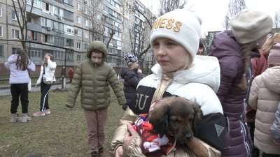 "Якщо не допомагати – вони помруть". Діти з однієї зі шкіл Дніпра зібрали допомогу для тварин "Якщо не допомагати – вони помруть". Діти з однієї зі шкіл Дніпра зібрали допомогу для тварин