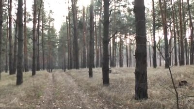 "Це брехня, коли хтось каже, що не страшно". Спогади кіборга, який став лісником "Це брехня, коли хтось каже, що не страшно". Спогади кіборга, який став лісником