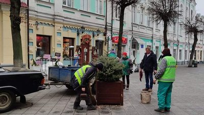 На головній пішохідній вулиці Житомира розставили дерев'яні бокси з блакитними ялинками