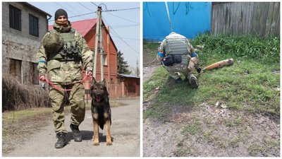 "Гроші були заміновані": в кінологічному центрі Полтави працює кінолог з Маріуполя Олександр Тимрук