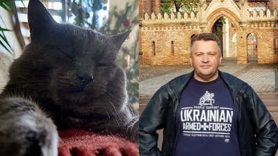 Рівнянин зареєстрував петицію від свого кота. У міськраді хочуть посилити верифікацію
