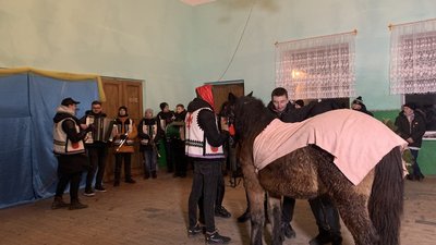 Засівання з конем: особливості давнього обряду з Тернопільщини Засівання з конем: особливості давнього обряду з Тернопільщини