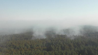 Пожежа виникла на території Народицького спеціалізованого лісового господарства Пожежа виникла на території Народицького спеціалізованого лісового господарства