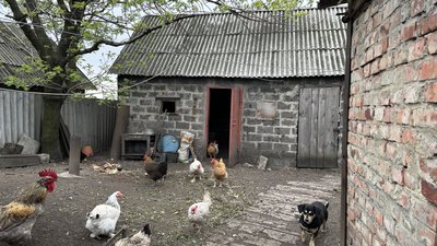 прифронтове село життя люди Маринівка Донецька область прифронтове село життя люди Маринівка Донецька область