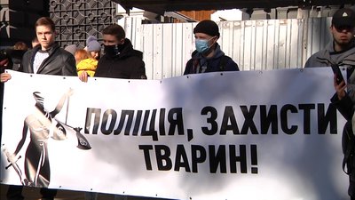 В Одесі мітингували проти бездіяльності поліції у справах жорстокого поводження з тваринами В Одесі мітингували проти бездіяльності поліції у справах жорстокого поводження з тваринами