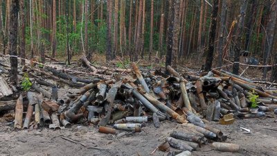 Експерти з Нідерландів допоможуть з розмінуванням лісів Київщини